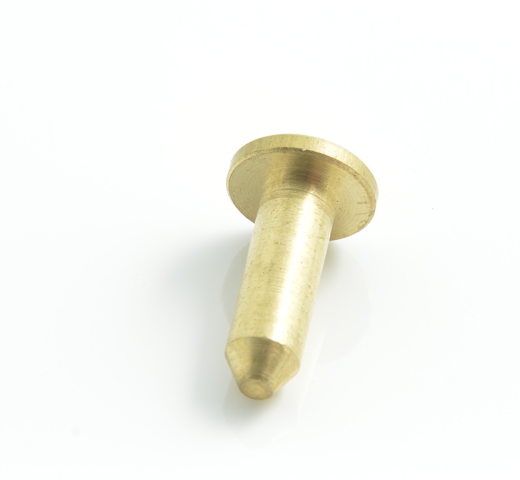 PP.100.54 - Pivot porte