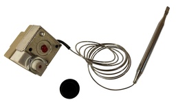 [51320] Thermostat (100°)